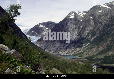 Valle del Ghiacciaio Nigardsbreen, Jostedalen, Norvegia Foto Stock