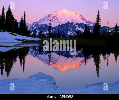 Il Parco Nazionale del Monte Rainier, WA: Alba la luce sul Monte Rainier ghiacciai con la riflessione su superfici ghiacciate Tipsoo superiore Lago Foto Stock