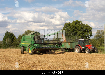 Mietitrebbia John Deere scaricando il grano in un rimorchio in Norfolk, Regno Unito Foto Stock