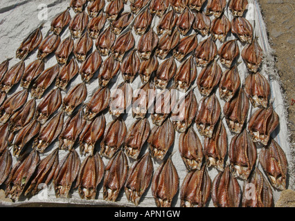 I filetti di pesce lasciato ad asciugare al sole di fronte al porto di Mindelo Sao Vicente in isole di Capo Verde Foto Stock