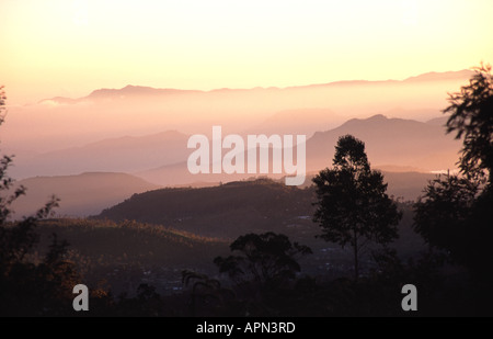 SRI LANKA Alba nella collina centrale al paese vicino Kandapola Nuwara Eliya, con Adam's Peak in lontananza. Foto Stock