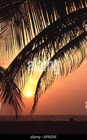 Lo SRI LANKA. Tramonto sulla spiaggia di Negombo. Foto Stock