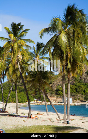 Cockleshell Bay Turtle Beach di St Kitts nei Caraibi Foto Stock