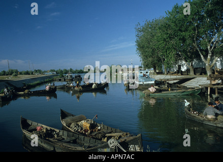 Barche da pesca a Sphintu Gheorghe sul Delta del Danubio in Romania Foto Stock