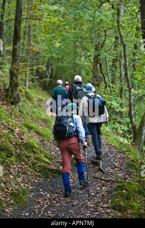 Walkers a cascata paese lungo la Nedd Fechan Parco Nazionale di Brecon Beacons Powys Galles Foto Stock