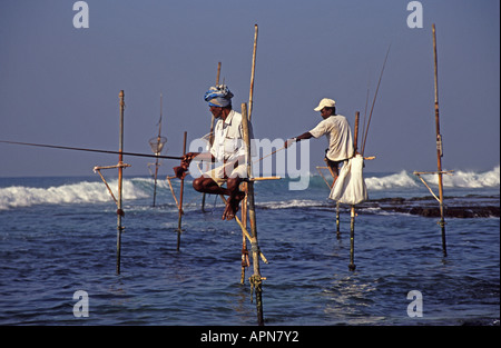 SRI LANKA Stilt pescatori a Dalawela sulla costa sud Foto Stock