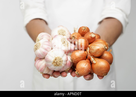 Lo Chef holding mazzetto di aglio e scalogno cipolle (metà sezione) Foto Stock