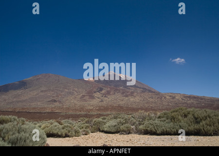 Montare il Parco Nazionale Teide, Tenerife, Isole Canarie, Spagna Foto Stock