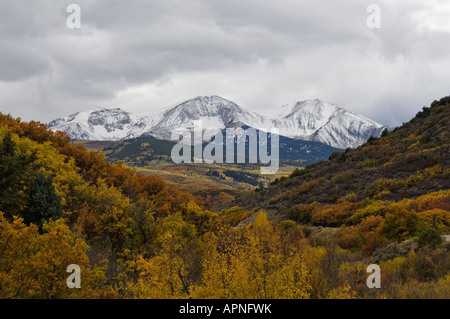 Mount Sopris ricoperta di neve con Colore di autunno in primo piano Pitkin County Colorado Foto Stock