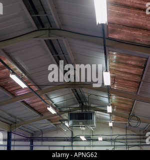 Illuminazione fluorescente sul soffitto di fabbrica Foto Stock