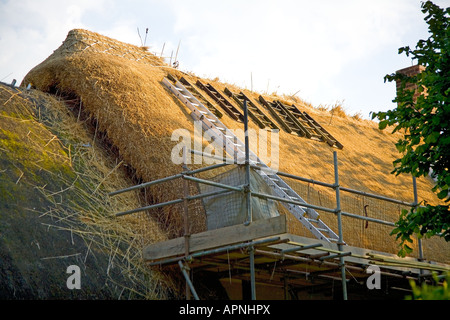 Tetto di Paglia opera in Stratford upon Avon Foto Stock