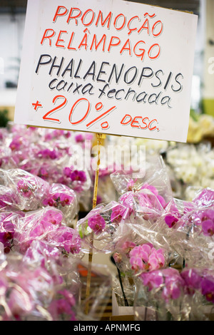 Vendita segno da Phalaenopsis fiori Foto Stock