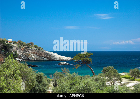 Il terreno non lavorato e la baia di Alyki sull'isola di Thassos Grecia Foto Stock