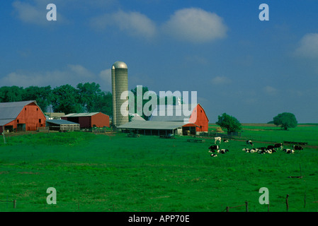 Family dairy farm with classic red barns and Holstein cows grazing on a summer day in Vermont, USA Foto Stock