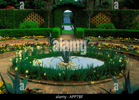 McClay giardini, Tallahassee Florida con fontana centrale Foto Stock