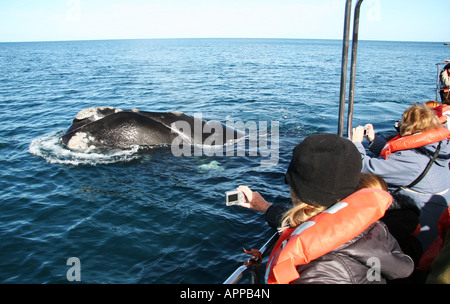 11 ottobre 2007 Turisti guardare la balena franca australe nel Golfo Nuevo vicino Piramides Penisola Valdes Chubut Patagonia Argentina Foto Stock