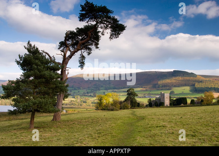 San Gastyn la Chiesa a Llangasty Talyllyn, lago Llangorse, Parco Nazionale di Brecon Beacons, Wales, Regno Unito. Foto Stock