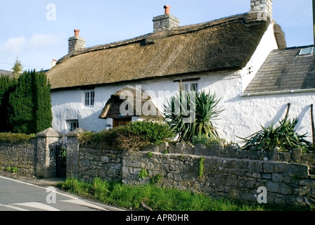 Tor Hesg, con tetto di paglia di casa lunga llantwit major Vale of Glamorgan, South Wales, Regno Unito. Foto Stock