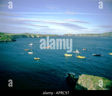 Ramsey suono e ramsey island da st justinians St Davids pembrokeshire west wales Foto Stock