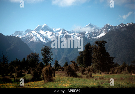 Mt Tasman e Mt Cook vista dal lago Matheson Isola del Sud della Nuova Zelanda Foto Stock