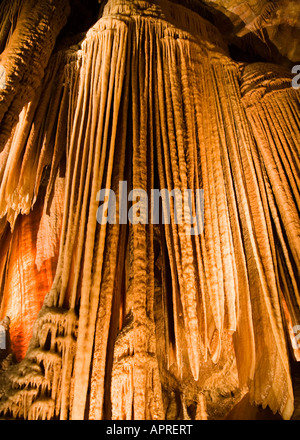 Stalattiti e stalagmiti nelle caverne di Jenolan, Blue Mountains, Australia Foto Stock