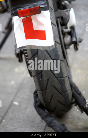 L Allievo piastre su un motociclo Belfast Irlanda del Nord Regno Unito Foto Stock