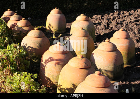 Collezione di forcieri in terracotta in giardino al sole d'inverno, Sussex, Inghilterra, Regno Unito Foto Stock