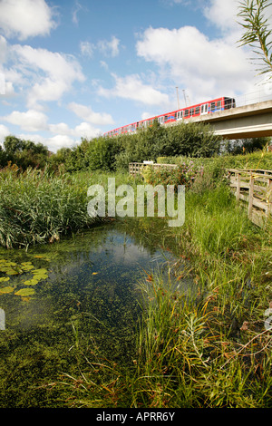 Treni DLR passando attraverso la prua ecologia Creek Park di Canning Town, Londra Foto Stock