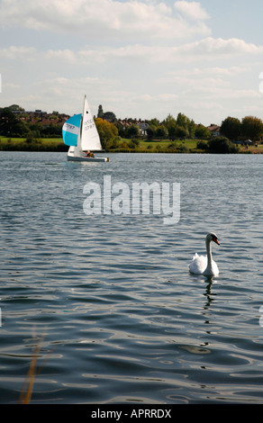 Cigni e yacht in Welsh Arpa a Neasden, Londra Foto Stock