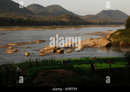 Luang Prabang agricoltori irrigare le loro colture di ortaggi con acqua dal fiume Mekong durante la stagione secca Foto Stock
