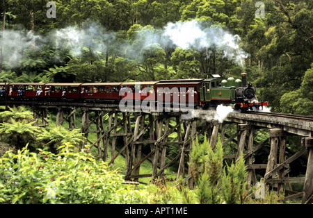 Treno a vapore sul Puffing Billy Railway, Belgrave, Victoria, Australia Foto Stock