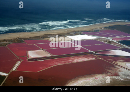 Saline Swa kopmund Foto Stock