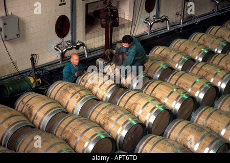 Paternina Rioja Vino Cantina botti botte in Spagna Foto Stock