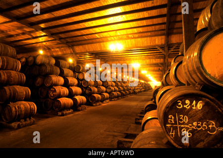 Paternina Rioja Vino Cantina botti botte in Spagna Foto Stock