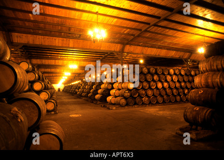 Paternina Rioja Vino Cantina botti botte in Spagna Foto Stock