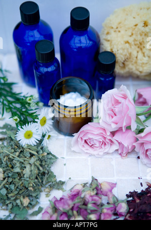 Oli essenziali con erbe fresche e rose con base organica e la crema di latte e una spugna naturale Foto Stock