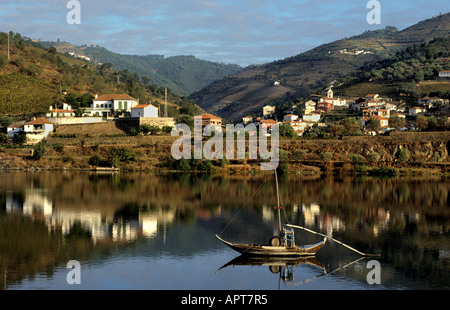 Il portoghese in Portogallo il vino Porto vintage Valle del Douro Foto Stock
