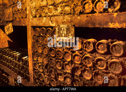 Cockburn Cantina bottiglie bottiglia Porto Portogallo Porto portoghese vintage cantina Foto Stock