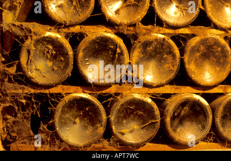 Cockburn Cantina bottiglie bottiglia Porto Portogallo Porto portoghese vintage cantina Foto Stock
