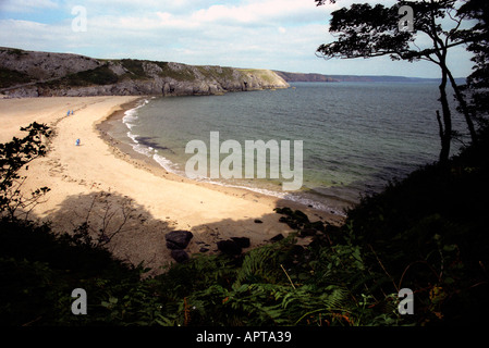 Barafundle Bay in Pembrokeshire Wales Foto Stock