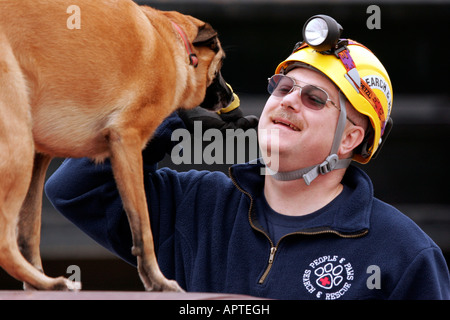 Una ricerca e un cane di salvataggio sulla parte superiore di una vettura di ricevere la sua ricompensa dal suo gestore dopo aver trovato una vittima Foto Stock