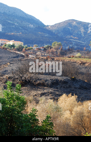 Bruciata wasteland kephalonia numero 2596 Foto Stock