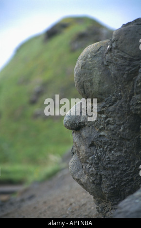 Faccia di pietra al Giants Causeway Irlanda del Nord Foto Stock