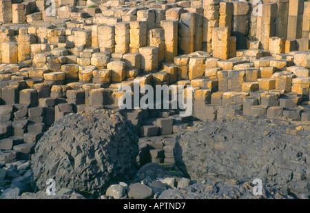 Colonne di basalto al Giants Causeway Irlanda del Nord Foto Stock