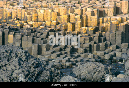 Colonne di basalto al Giants Causeway Irlanda del Nord Foto Stock