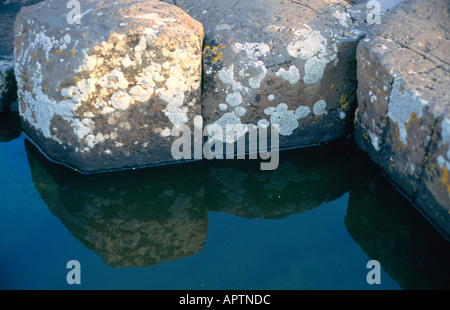 Dettaglio geometrico delle colonne di basalto al Giants Causeway Irlanda del Nord Foto Stock