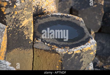 Particolare di una colonna di basalto al Giants Causeway Irlanda del Nord Foto Stock