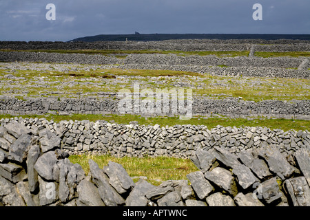 I muri in pietra, Inis Mor, Isole Aran, Irlanda Foto Stock