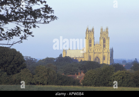 Beverley Minster East Yorkshire fondato da San Giovanni di Beverley c 700 Foto Stock