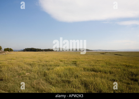 Vista dalla passeggiata a mare, a Grange-over-Sands, Cumbria Foto Stock